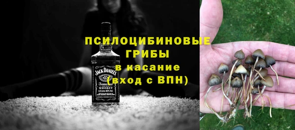 МДПВ Абаза