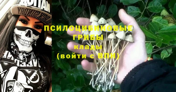каннабис Осташков