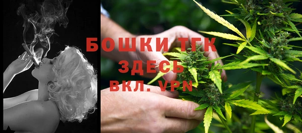 МДПВ Абаза