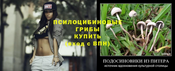 spice Абинск