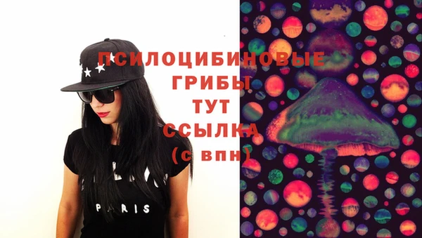 spice Абинск