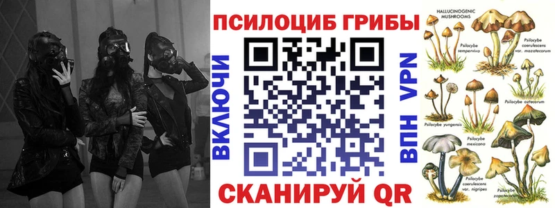 Галлюциногенные грибы мицелий  наркота  Александровск 